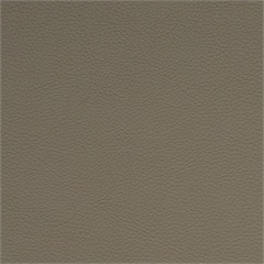 Symphony Classic Aniseed